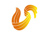 山东电视台